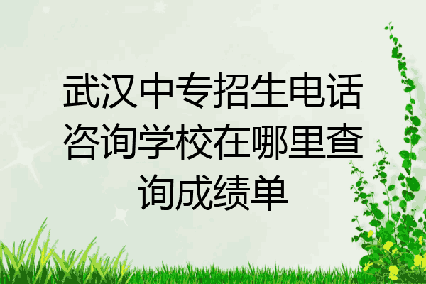 武汉中专招生电话咨询学校在哪里查询成绩单