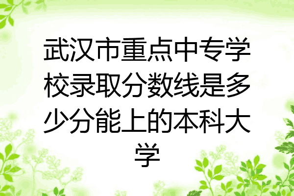 武汉市重点中专学校录取分数线是多少分能上的本科大学