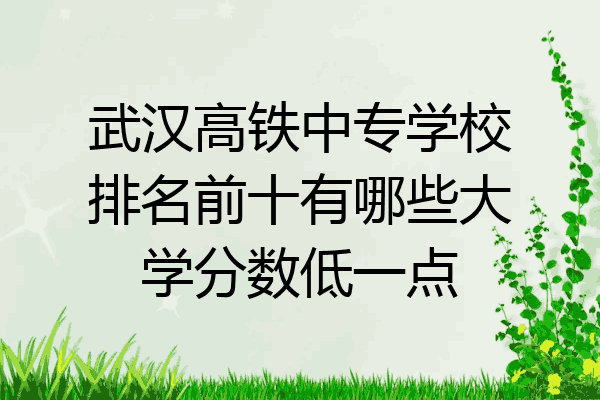 武汉高铁中专学校排名前十有哪些大学分数低一点