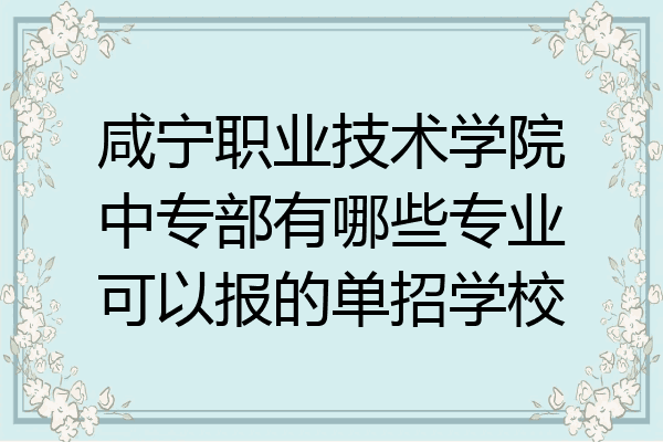 咸宁职业技术学院中专部有哪些专业可以报的单招学校
