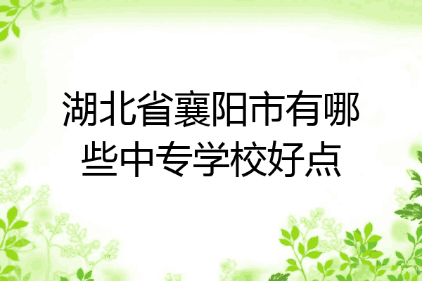 湖北省襄阳市有哪些中专学校好点