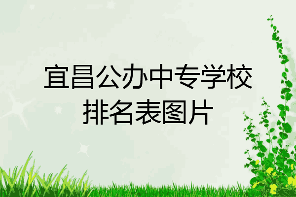 宜昌公办中专学校排名表图片