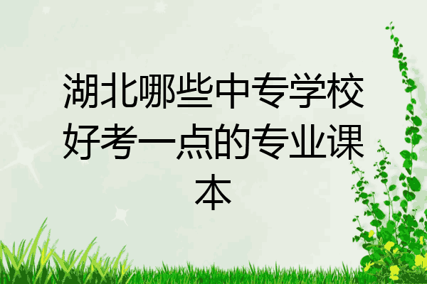 湖北哪些中专学校好考一点的专业课本