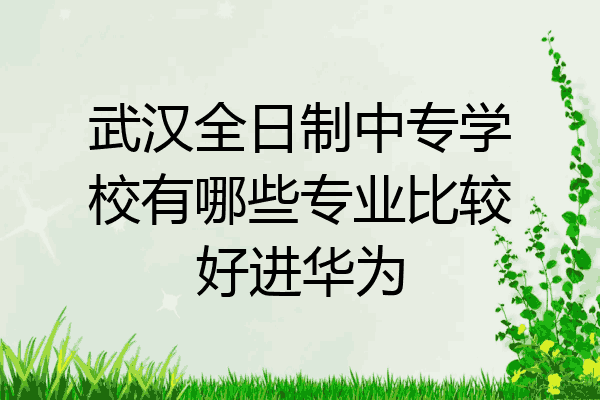 武汉全日制中专学校有哪些专业比较好进华为