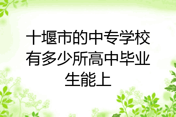 十堰市的中专学校有多少所高中毕业生能上