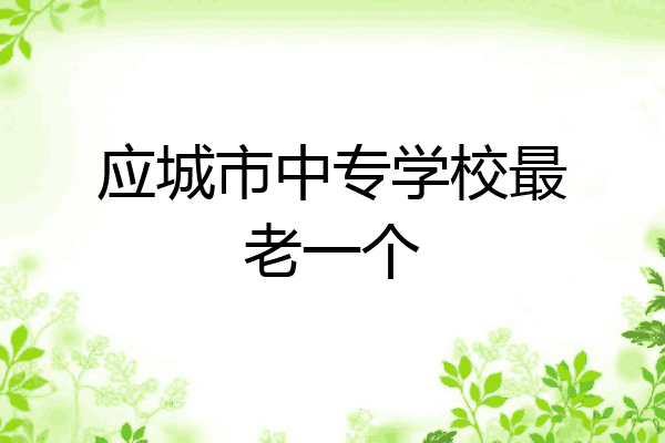 应城市中专学校最老一个