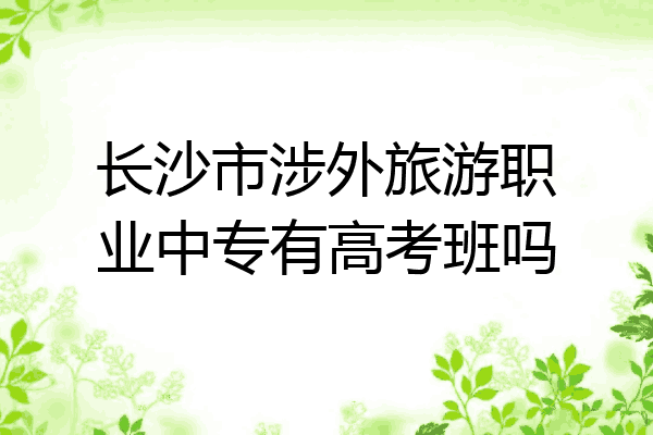 长沙市涉外旅游职业中专有高考班吗