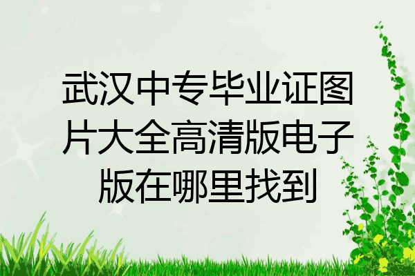 武汉中专毕业证图片大全高清版电子版在哪里找到