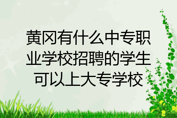 黄冈有什么中专职业学校招聘的学生可以上大专学校
