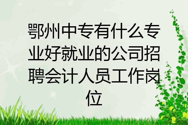 鄂州中专有什么专业好就业的公司招聘会计人员工作岗位
