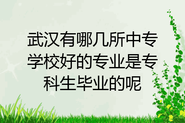 武汉有哪几所中专学校好的专业是专科生毕业的呢