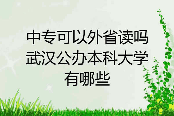 中专可以外省读吗武汉公办本科大学有哪些