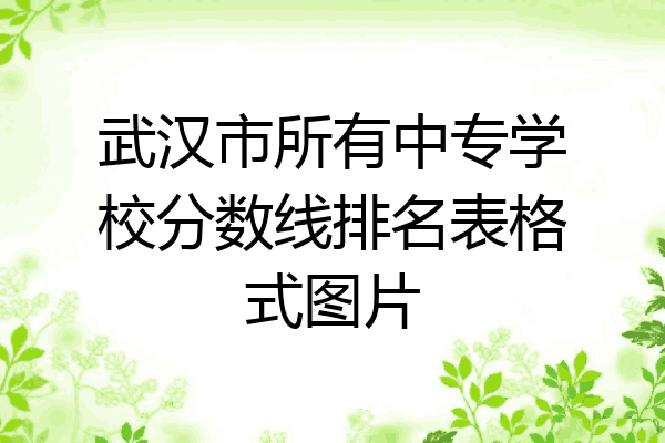 武汉市所有中专学校分数线排名表格式图片