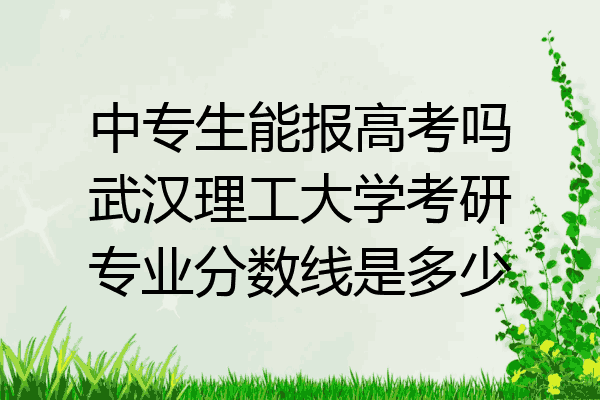 中专生能报高考吗武汉理工大学考研专业分数线是多少
