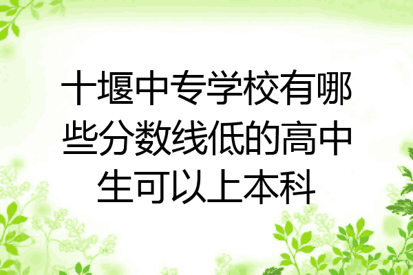 十堰中专学校有哪些分数线低的高中生可以上本科