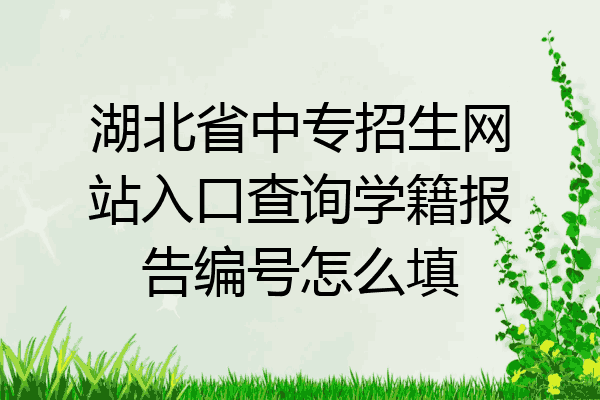 湖北省中专招生网站入口查询学籍报告编号怎么填