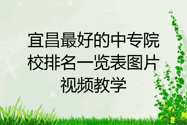 宜昌最好的中专院校排名一览表图片视频教学