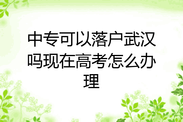 中专可以落户武汉吗现在高考怎么办理