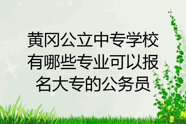 黄冈公立中专学校有哪些专业可以报名大专的公务员