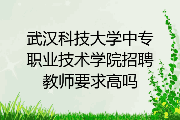 武汉科技大学中专职业技术学院招聘教师要求高吗