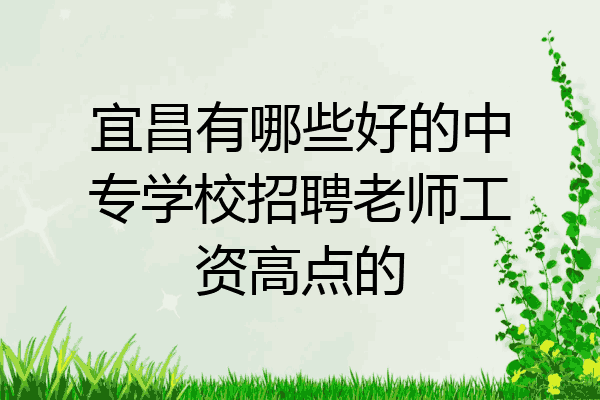 宜昌有哪些好的中专学校招聘老师工资高点的