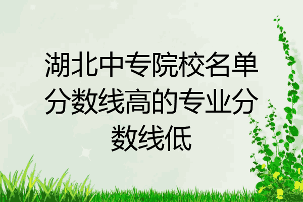 湖北中专院校名单分数线高的专业分数线低