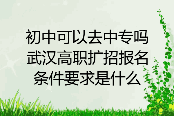 初中可以去中专吗武汉高职扩招报名条件要求是什么