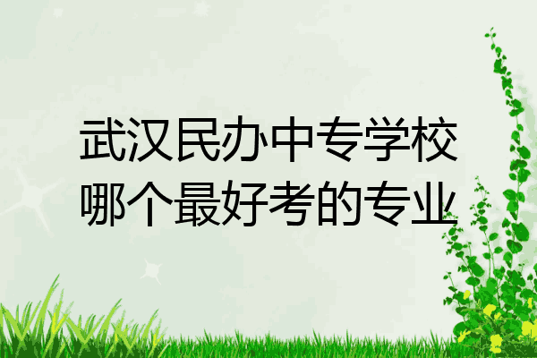 武汉民办中专学校哪个最好考的专业