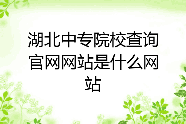 湖北中专院校查询官网网站是什么网站