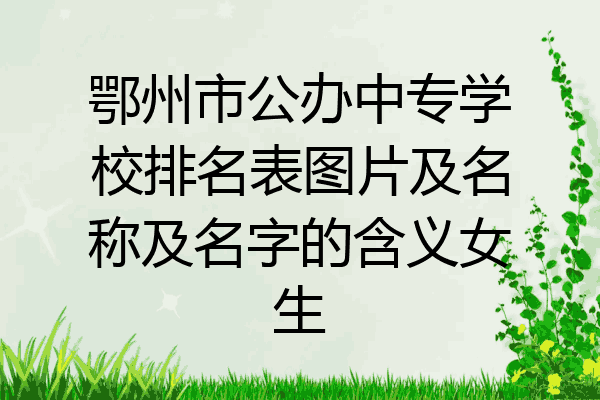 鄂州市公办中专学校排名表图片及名称及名字的含义女生