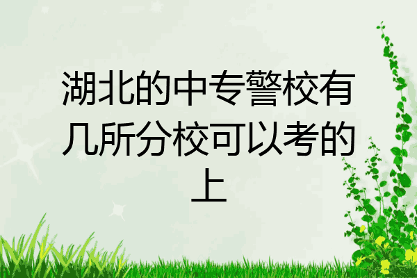 湖北的中专警校有几所分校可以考的上