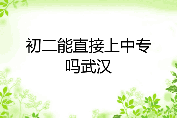 初二能直接上中专吗武汉