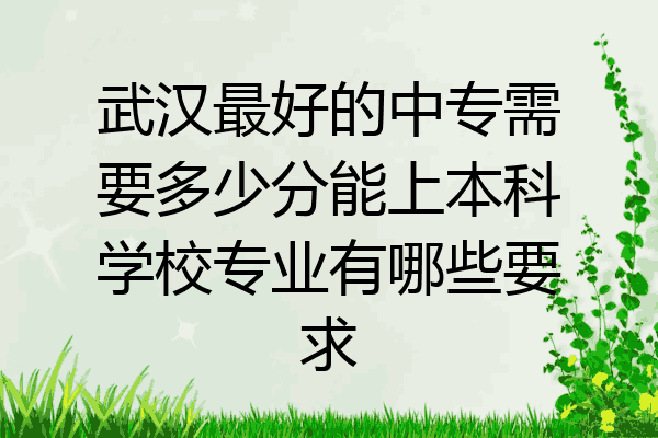 武汉最好的中专需要多少分能上本科学校专业有哪些要求