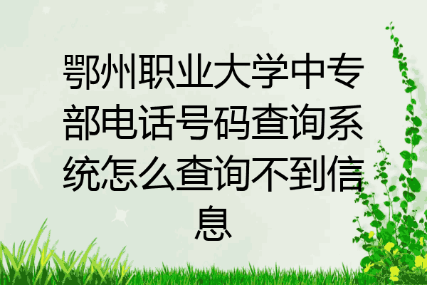 鄂州职业大学中专部电话号码查询系统怎么查询不到信息
