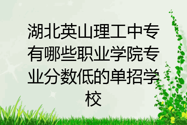 湖北英山理工中专有哪些职业学院专业分数低的单招学校