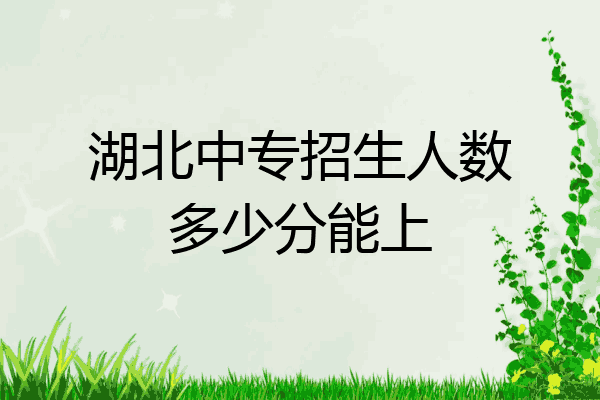 湖北中专招生人数多少分能上