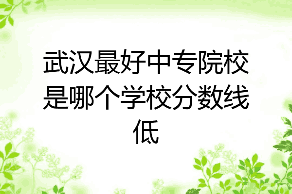 武汉最好中专院校是哪个学校分数线低