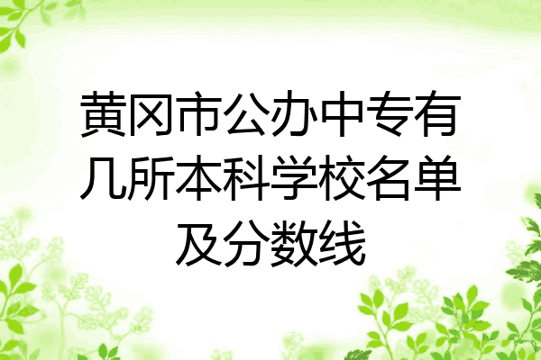 黄冈市公办中专有几所本科学校名单及分数线