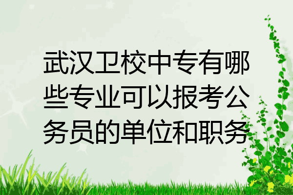 武汉卫校中专有哪些专业可以报考公务员的单位和职务