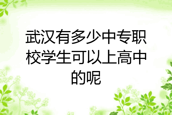 武汉有多少中专职校学生可以上高中的呢