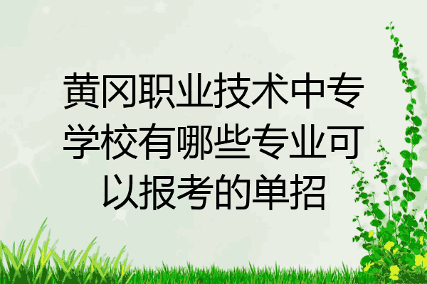黄冈职业技术中专学校有哪些专业可以报考的单招