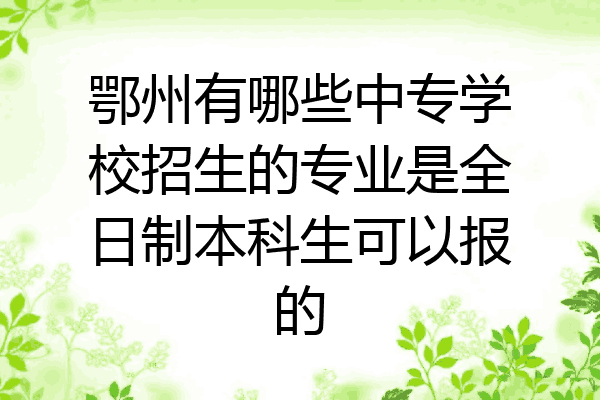 鄂州有哪些中专学校招生的专业是全日制本科生可以报的