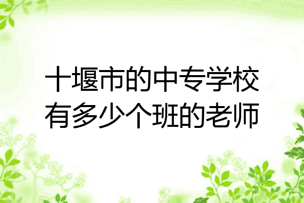 十堰市的中专学校有多少个班的老师
