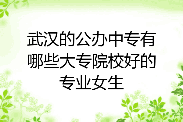 武汉的公办中专有哪些大专院校好的专业女生