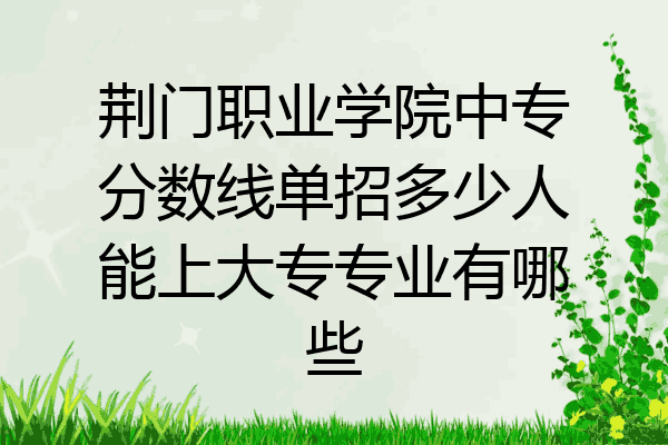 荆门职业学院中专分数线单招多少人能上大专专业有哪些