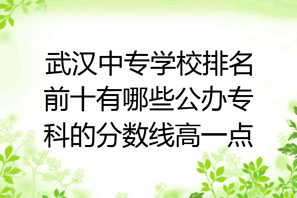 武汉中专学校排名前十有哪些公办专科的分数线高一点