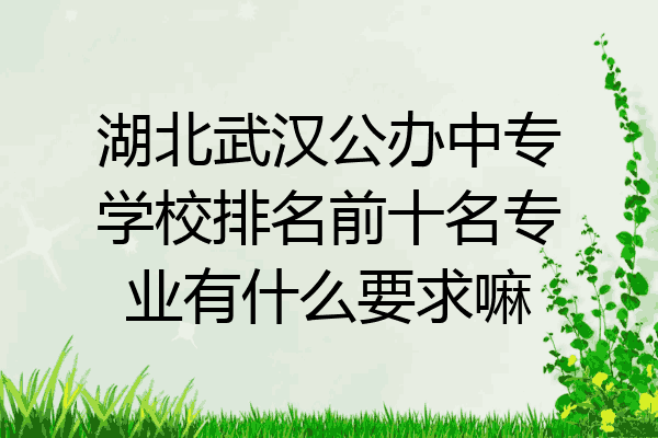 湖北武汉公办中专学校排名前十名专业有什么要求嘛