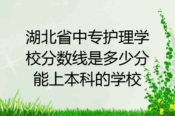 湖北省中专护理学校分数线是多少分能上本科的学校