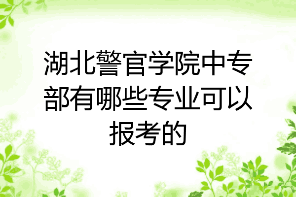 湖北警官学院中专部有哪些专业可以报考的