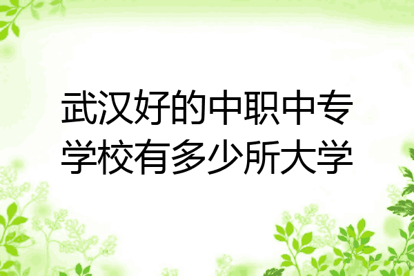 武汉好的中职中专学校有多少所大学